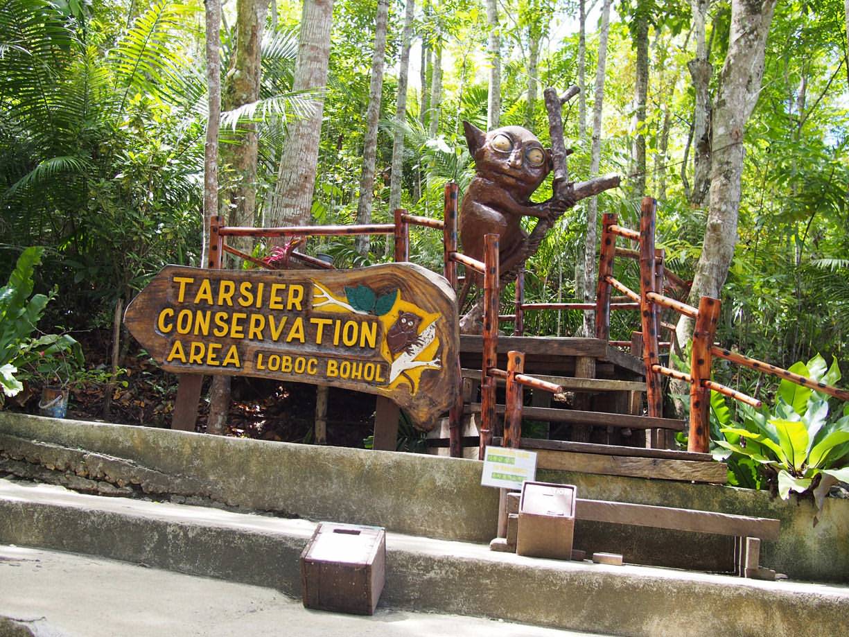 Tarsier Conservation Area